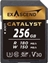 Picture of Karta ExAscend Catalyst SDXC 256 GB Class 10 UHS-I/U3 V30 (EX256GSDU1)