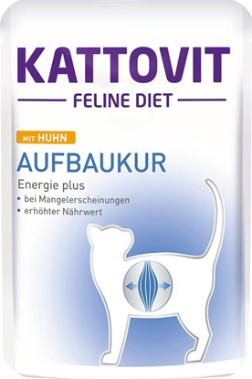 Picture of Kattovit Feline Diet Recovery 85g