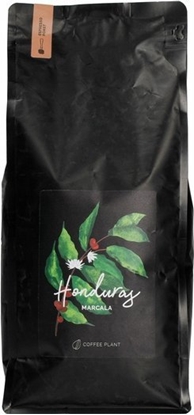 Attēls no Kawa ziarnista Coffee Plant COFFEE PLANT - Honduras La Paz Marcala Washed Espresso 1kg