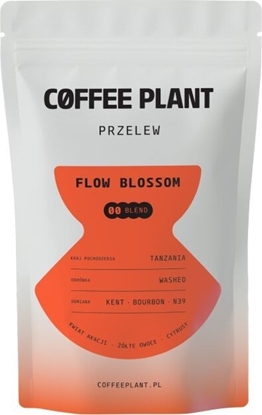 Attēls no Kawa ziarnista Coffee Plant FLOW Blossom 100 g