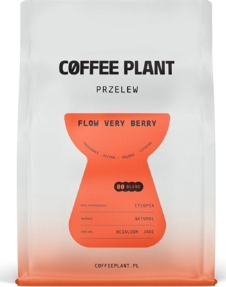 Изображение Kawa ziarnista Coffee Plant FLOW Verry Berry 250 g