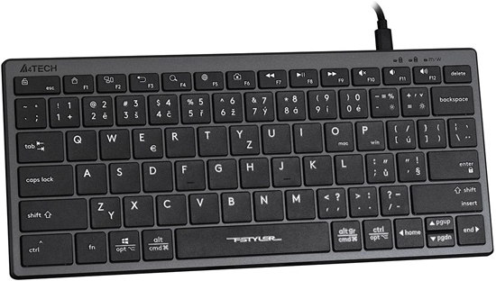 Picture of Klawiatura A4Tech FX51 (FX51-GY)