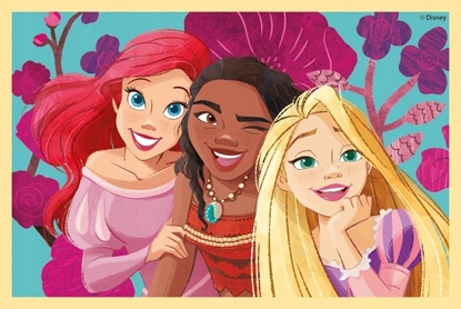 Picture of Klocki Princess 6el