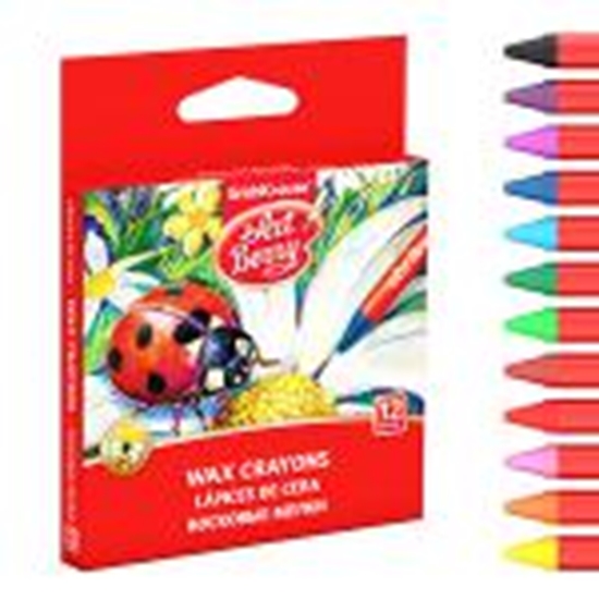 Picture of Krītiņi vaska 12 krāsas,  ArtBerry,  ErichKrause