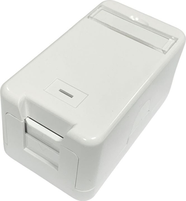 Изображение Lanview Surface mount box for 1 x
