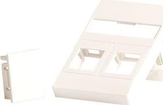 Изображение Lanview Wall plate for 2 x keystone.