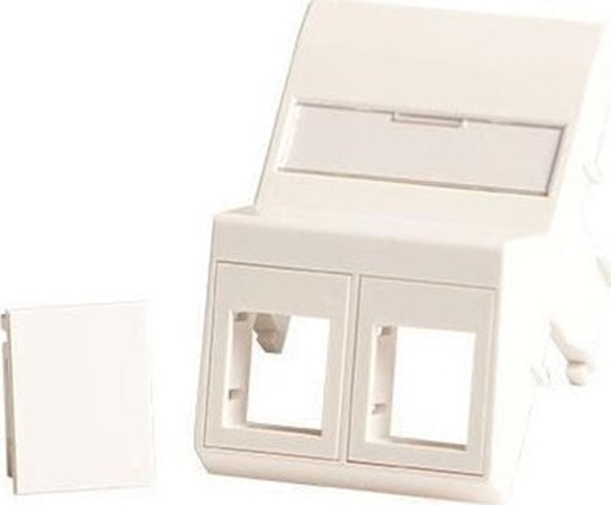 Изображение Lanview Wall plate, angled, 2 x