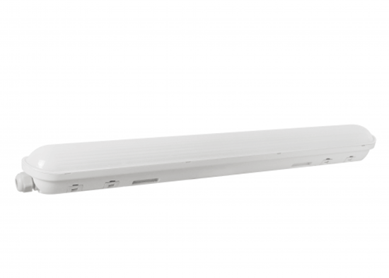 Picture of LED armatūra 21W 2100lm 100lm/w 4000K IP65 590x72x61mm Frosted