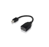 Picture of Lenovo 4X90L13971 DisplayPort cable Mini DisplayPort Black