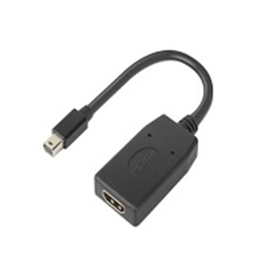 Picture of Lenovo 4X90Q93976 video cable adapter Mini DisplayPort HDMI Black