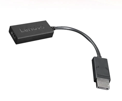 Picture of Lenovo 4X90R61023 video cable adapter 0.225 m DisplayPort HDMI Type A (Standard) Black
