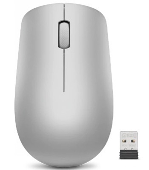 Picture of Lenovo 530 platinum grey wireless Mouse