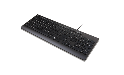 Picture of LENOVO ESSENTIAL WIRED KEYBOARD AI ESTONIAN