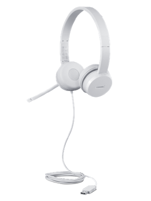 Picture of Lenovo GXD1E71385 headphones/headset Wired Wrist Calls/Music USB Type-A Grey