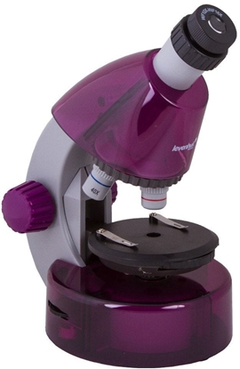 Picture of Levenhuk LabZZ M101 amethyst  DE