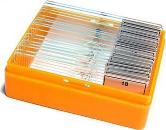 Picture of Levenhuk N18 NG Prepared Slides Set