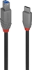 Picture of Lindy 1m USB 3.2 Type C to B Cable, Anthra Line