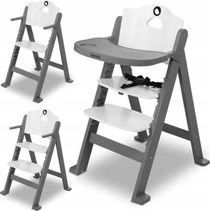 Picture of Lionelo Floris grafitowe