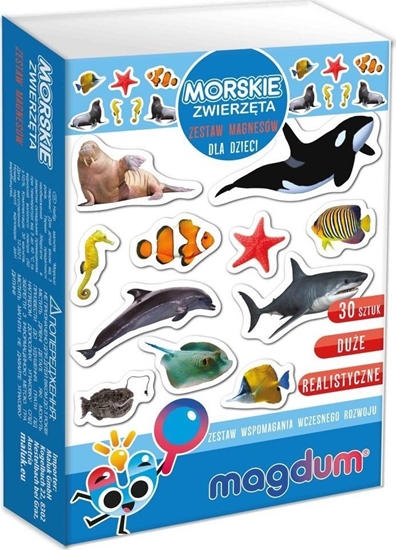 Picture of Maksik Magnesy Morscy mieszkacy MV 6032-18