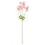 Attēls no Mākslīgie augi 4Living Dedestiņas 66cm