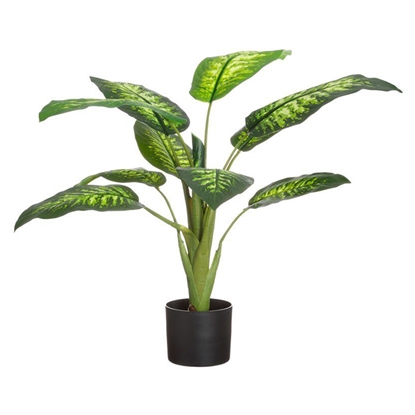 Picture of Mākslīgie augi 4Living Dīfenbahijas 90cm