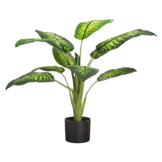 Picture of Mākslīgie augi 4Living Dīfenbahijas 90cm
