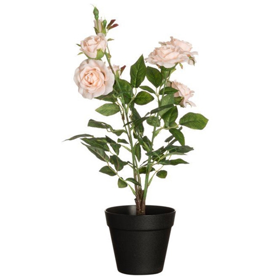 Picture of Mākslīgie augi 4Living Rozes lielās bēšas 49cm