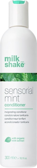 Picture of Milk Shake Sensorial Mint 300 ml