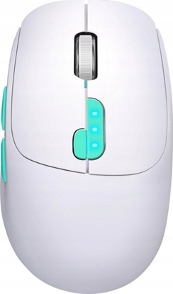 Picture of Mysz bezprzewodowa NITTA MM-307 RF+BT 1600DPI 6P biała