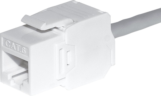 Picture of NetRack Modu keystone Jack RJ45 kat. 5e UTP, beznarzdziowy Netrack, biay