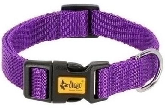 Picture of Obroa dla psa Dingo 14764 Purpura 28 cm 20 cm