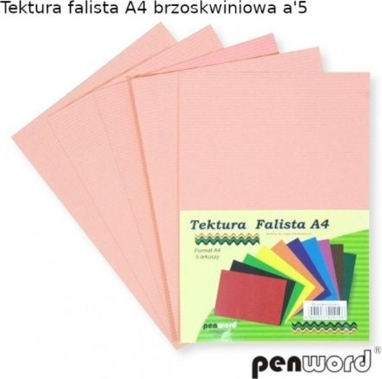 Picture of Penword Tektura falista PENWORD A4 5ark. - brzoskwiniowa Penword TARGI