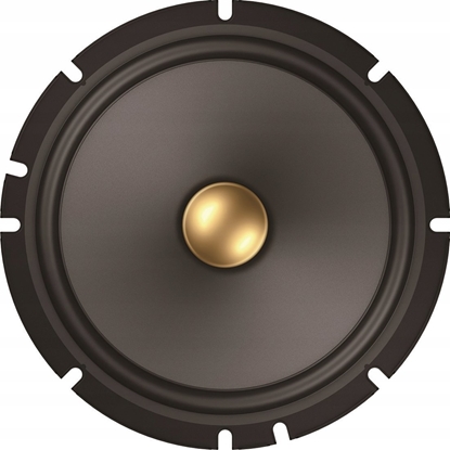 Picture of Pioneer TS-A1601C