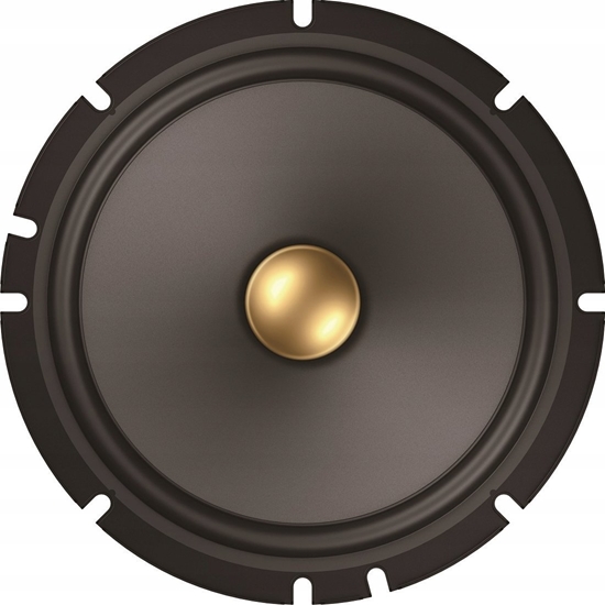 Picture of Pioneer TS-A1601C
