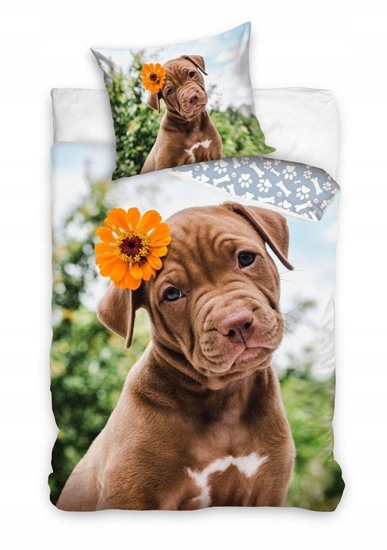 Picture of POCIEL 160x200 PIES NL231059  5905742017468