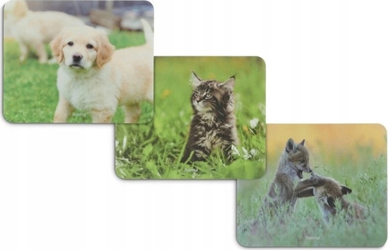 Picture of Podkadka Hama PODKADKA POD MYSZ "ANIMAL" - DISPLAY 12 SZT.