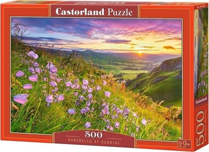Attēls no Puzzle 500 element?w Harebells at Sunrise