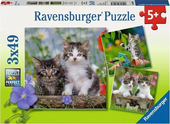 Picture of Ravensburger Puzzle 3x49 Kocita
