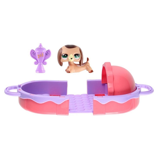 Picture of Rot. Mājdzīvnieks suns