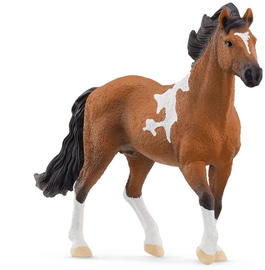 Picture of Schleich Horse Club 13978 Mangalarga Marchador Hengst