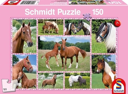Picture of Schmidt Spiele Puzzle 150 Konie G3