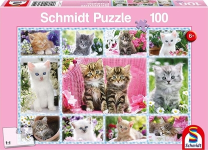 Picture of Schmidt Spiele Puzzle Kocita