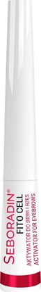 Picture of Seboradin Serum do rzs i brwi Seboradin FITO CELL 6 ml