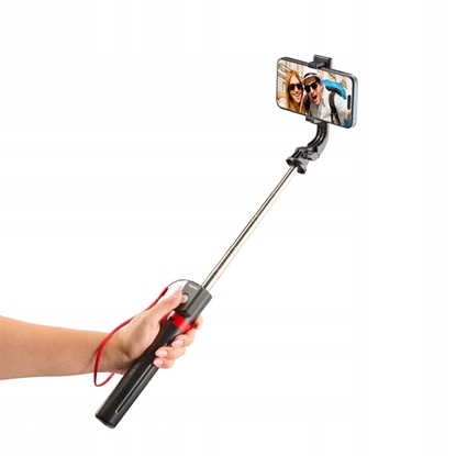 Picture of SELFIE STICK Fancy Stand II 110