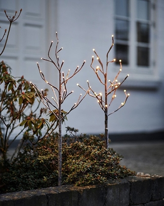 Picture of Sirius Home Alex, Light decoration chain, Brown, 30 lamp(s), LED, Battery, AA