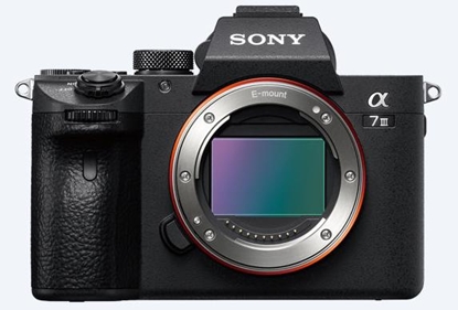 Picture of Sony Alpha 7 Mark III Body