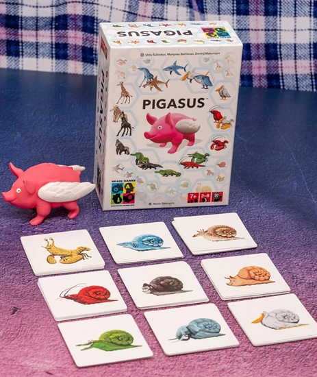 Picture of Sourcing TABLE GAME PIGASUS