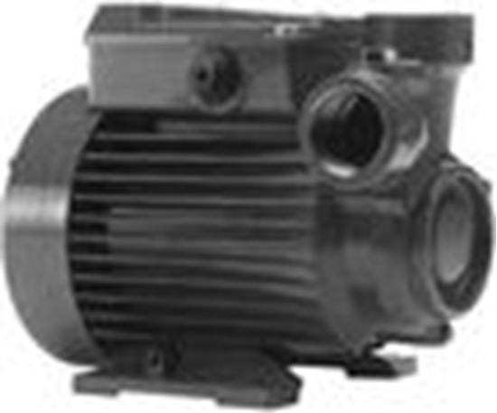 Изображение Sūknis CTM 61 0,33kW 230V 50Hz Calpeda