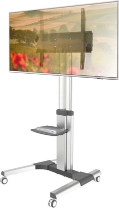 Picture of Techly Stojak mobilny LCD/LED 50-92cali, 70kg, z pók