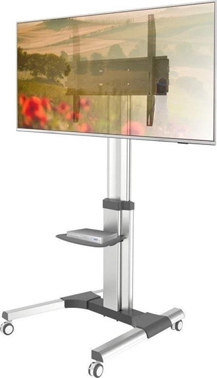 Picture of Techly Stojak mobilny LCD/LED 50-92cali, 70kg, z pók